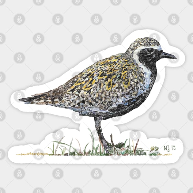 Kōlea, Pacific Golden Plover Sticker by NadJac